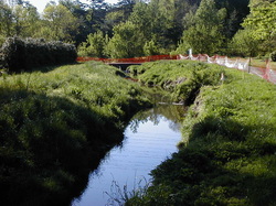 Coir Scene