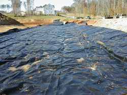 Linear Low Density Polyethylene