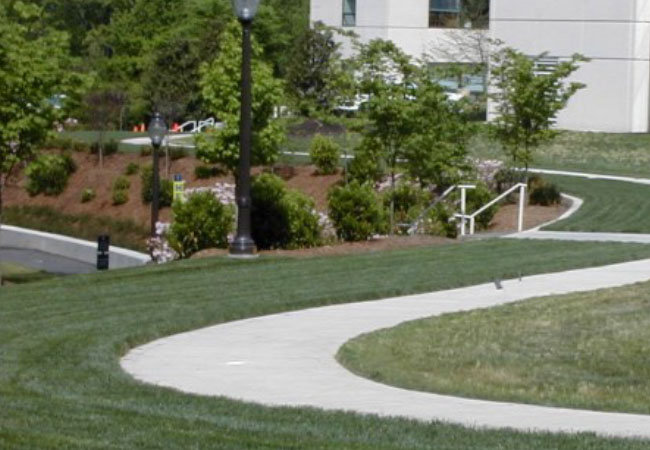 Case Study Grasspave2 Beauty Of Grass Case Study Grasspave2 Beauty Of Grass