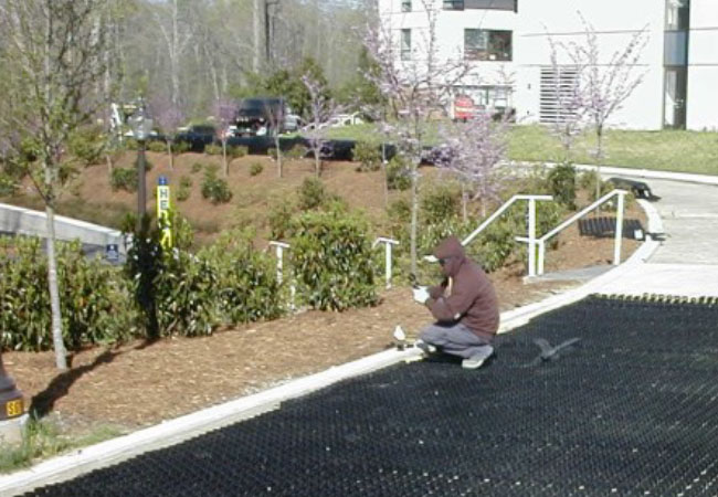 Case Study Grasspave2 System Rolled In Place Case Study Grasspave2 System Rolled In Place