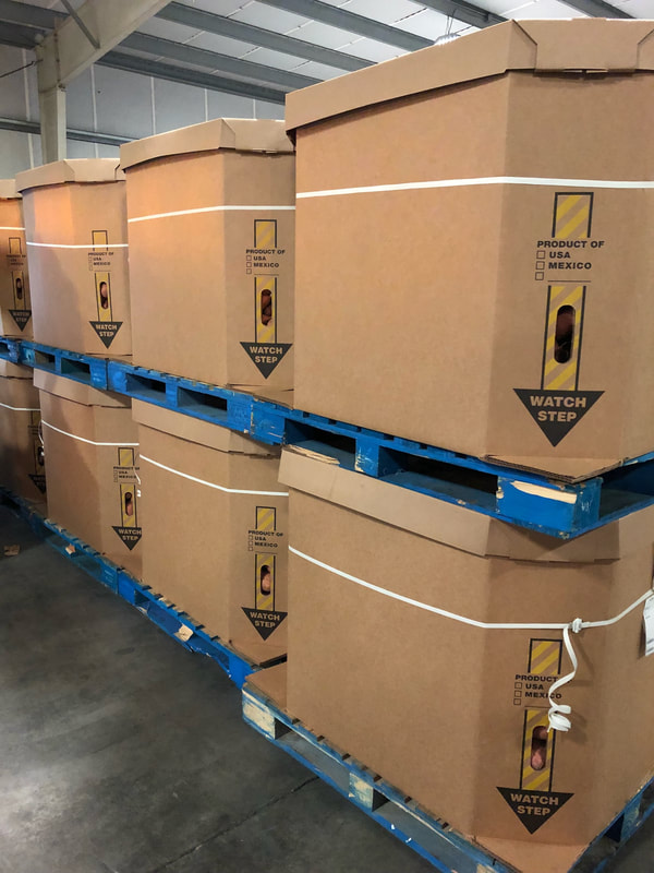 Packaging Bins