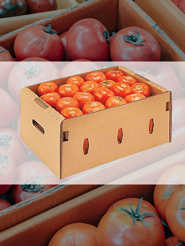 Packaging Tomatoes