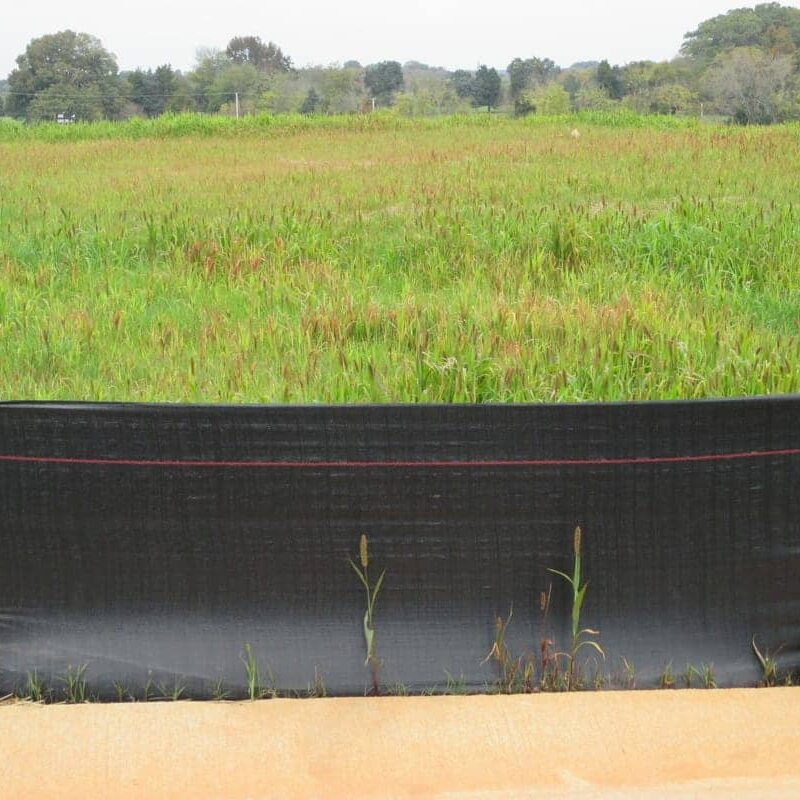 Silt Fence Field