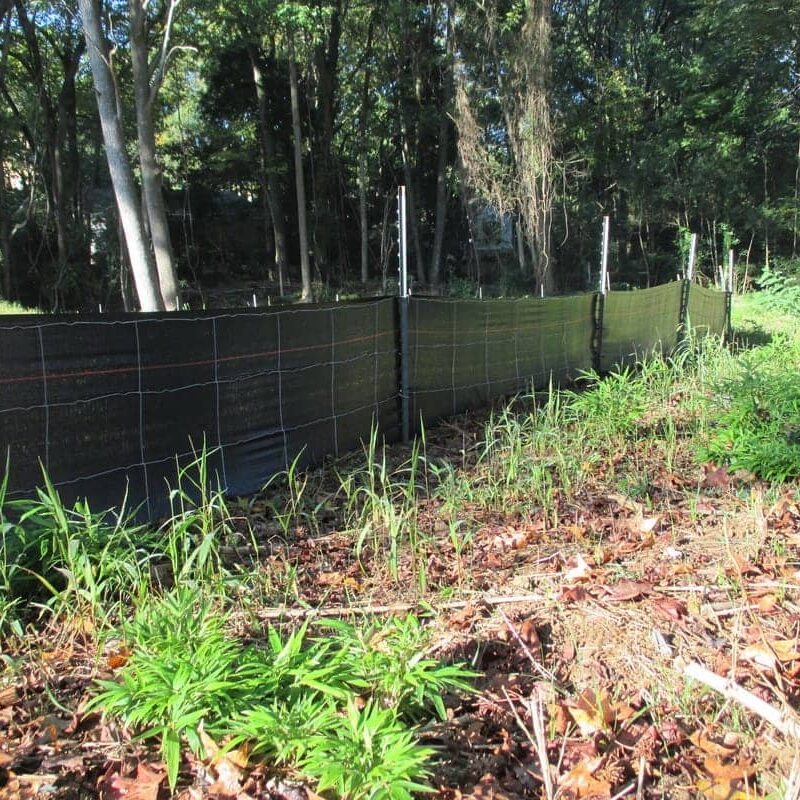 Silt Fence Wetlands